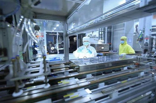 一把手談創(chuàng)新丨仙居縣委書記占雅靜 以科技創(chuàng)新變量激活縣域高質(zhì)量發(fā)展增量